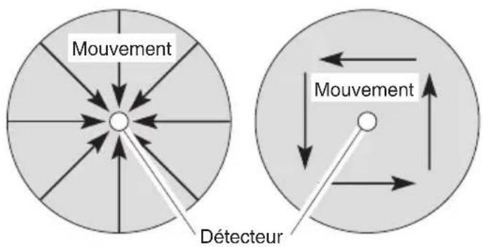 Mouvement Détecteur Mouvement