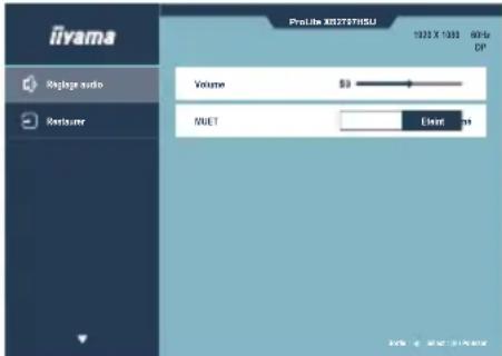 IIYAMA ProLite XB2497HSU - Direct - 2