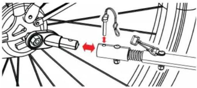 Deryan Pet Trailer - WARNING - 1