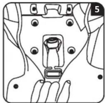 Chipolino Mondial - 12