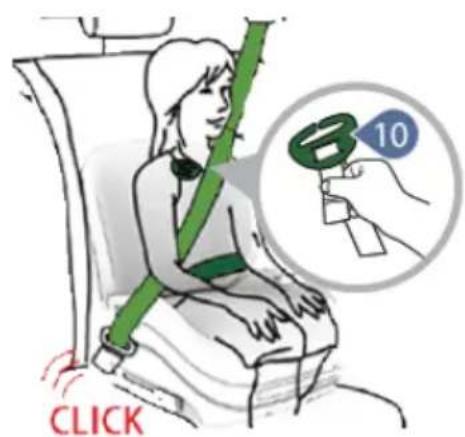 Chipolino ISOFIX Genesis Smart - 7