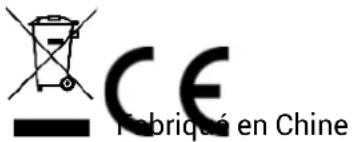 SE Electronics V7 ENG - Risque de dommages - 1