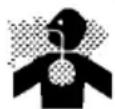 Porter-Cable PXCMLC1683066 - RISK OF ELECTRICAL - 4