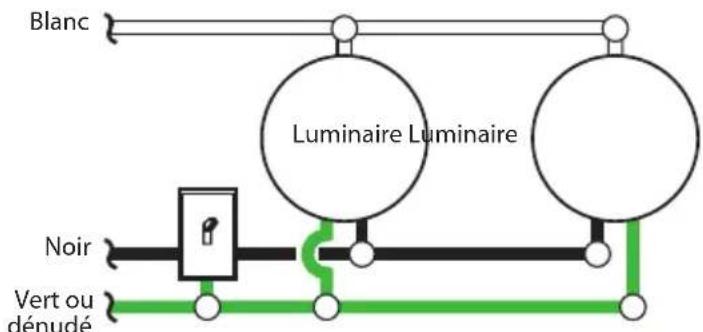 Blanc Luminaire Luminaire Noir Vert ou dénudé