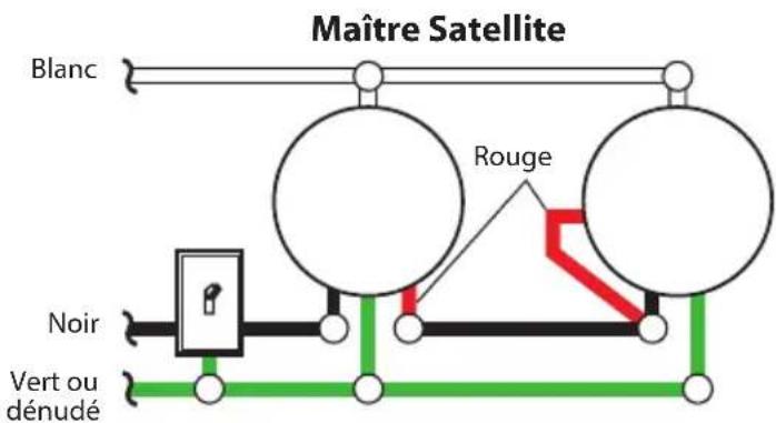 Maître Satellite Blanc Rouge Noir Vert ou dénudé