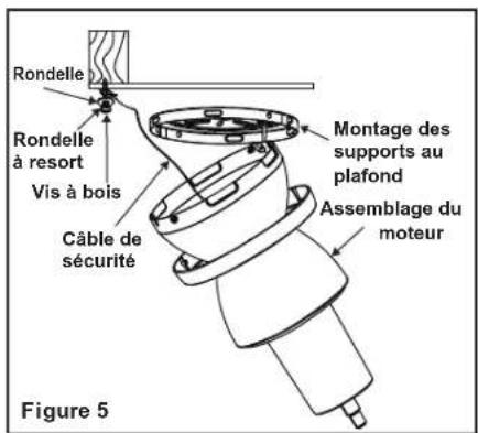 Progress Lighting P250063 - Accrocher le ventilateur - 2