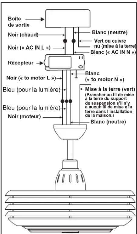 Progress Lighting P2594 - Branchements électriques - 3