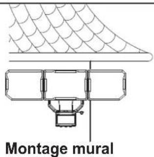 Montage mural