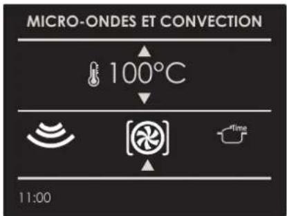 MICRO-ONDES ET CONVECTION 100°C 11:00