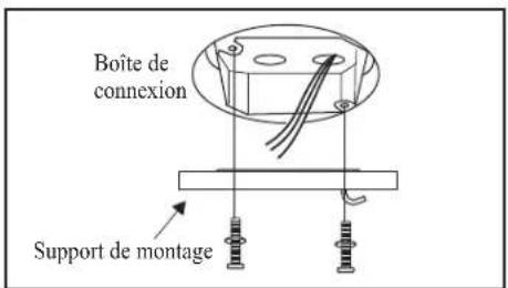 Progress Lighting P250006 - Montage du Ventilateur - 1