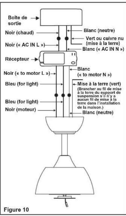 Progress Lighting P2592 - Branchements électriques - 3