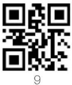 Aqprox appLS22 - Quick setting code for special GS conversion - 27