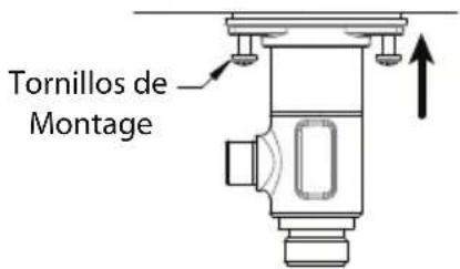 TOTO Vivian TL220DD1 - WARRANTY - 3