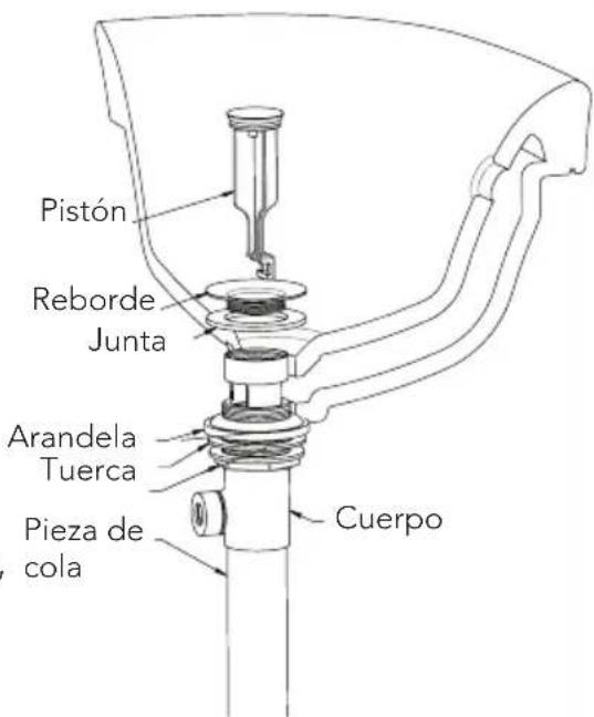 TOTO Vivian TL220DD1 - PROCEDIMIENTO DE INSTALACIÓN - Desagüe - 2