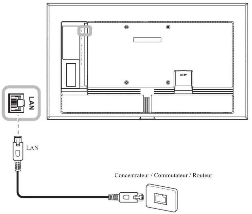 AG Neovo DS6551U - Connexion à un réseau câblé - 1