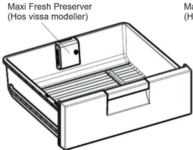 SHARP SJ-BA09RMXLC-EU - Maxi-fresh preserver - 1