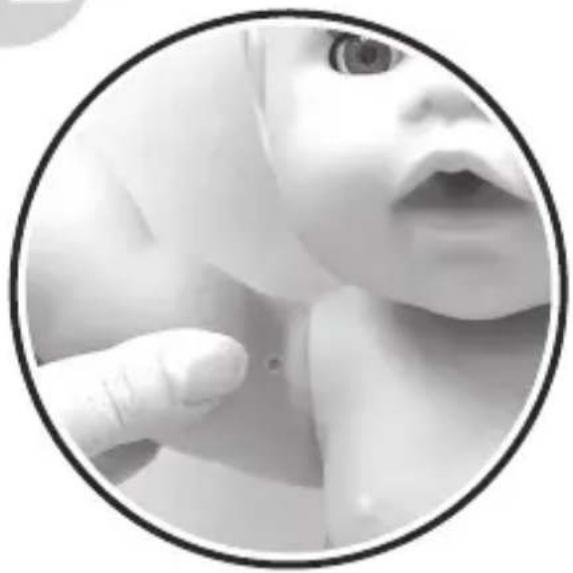 BABY born Eva 836408 - 12 - 1