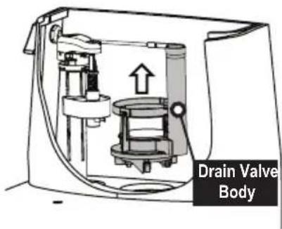 TOTO Legato MS624124CEF - Replacing the Drain Valve - 3