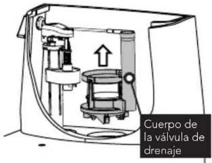 TOTO Legato MS624124CEF - WARRANTY - 5