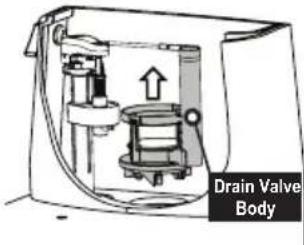 TOTO Eco Guinevere MS974224CEFG - Replacing the Drain Valve - 3