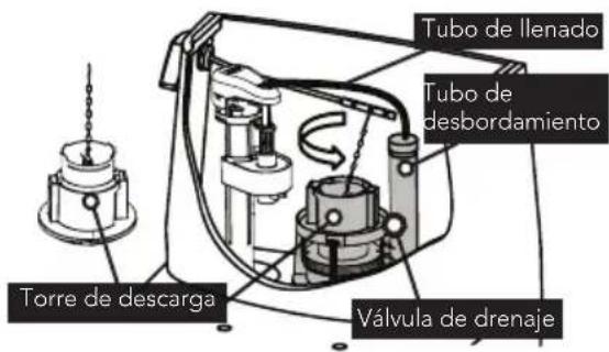 TOTO Eco UltraMax MS854114ELR - Sustitución de la válvula de drenaje - 1