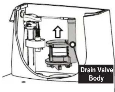 TOTO Eco UltraMax MS854114ELR - Replacing the Drain Valve - 3