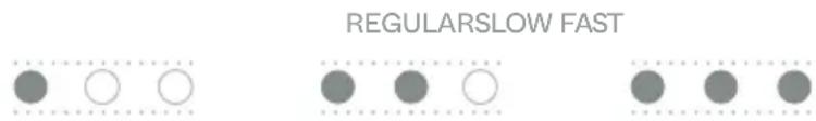 REGULARSLOW FAST