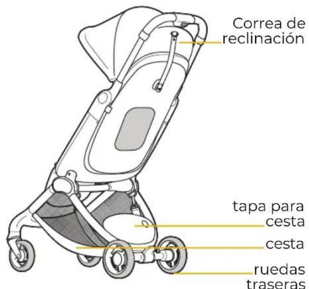 Mima Miro - COMPONENTES - 2