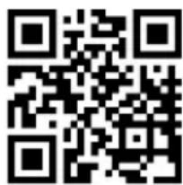 MEDION LIFE P61080 (MD 44080) - Serviceinformationen - 1