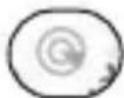 DCU 34159031 - ENG - 1