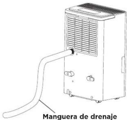 TCL H25D44W - Paso 2: Pruebas - 1