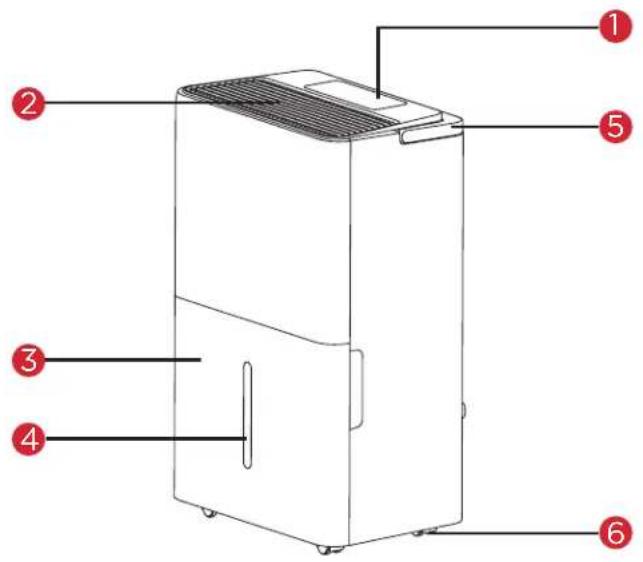 TCL H25D44W - Qué hay en la caja - 2