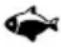 Flama 681FL - Use - 16