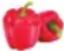 TRISTAR FR-9073 - Program selection - 5