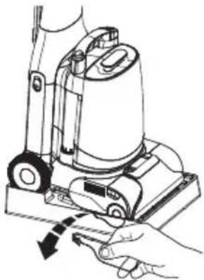 TINECO CARPET ONE Cruiser - Brush Roller - 1