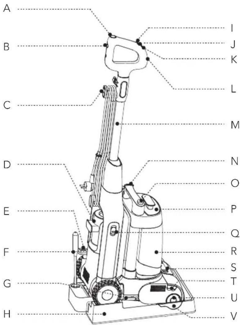 TINECO CARPET ONE Cruiser - Descripción general - 1