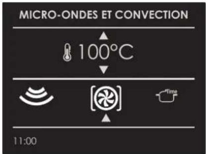 MICRO-ONDES ET CONVECTION 100°C Time 11:00