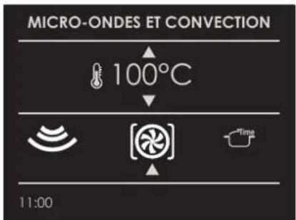 MICRO-ONDES ET CONVECTION 100°C 11:00