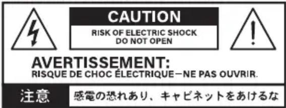 Electro Harmonix Abrams 100 - Important Safety Instructions - 1