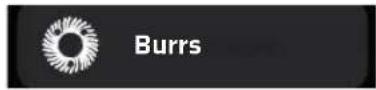 Ceado Leon RS - BURRS - 1