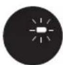 TINECO Floor One S6 Stretch - When in Use - 12