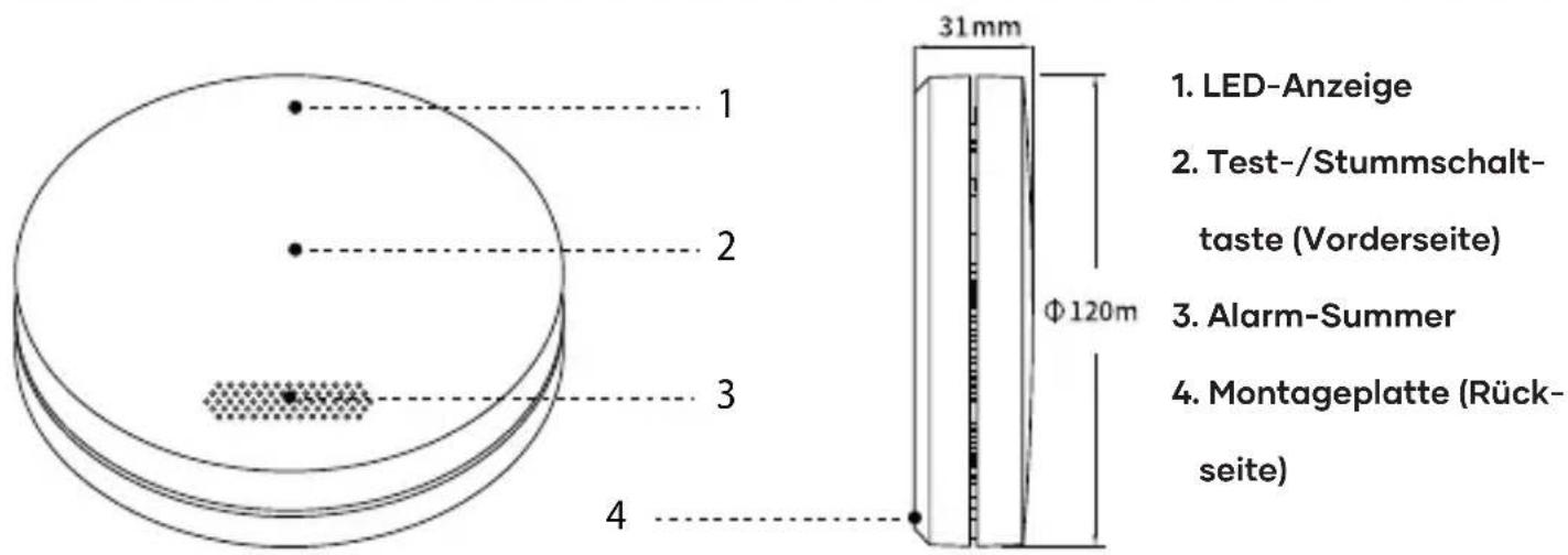 SAVS SM11R4 - Produktübersicht SM11R4 - 1