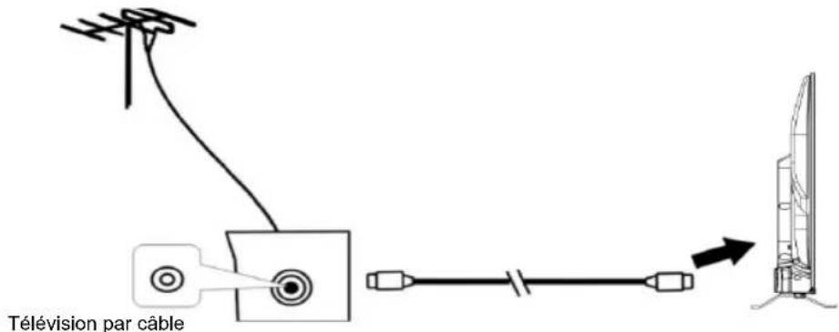 EDENWOOD ED40A06FHD-RE - Connexion de l'antenne externe à l'unité - 1