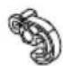 CONTINENTAL EDISON CEF2D413NFB - Door Reversibility - 3
