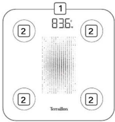 TERRAILLON Gymfit Connect - VISTA GENERAL - 1