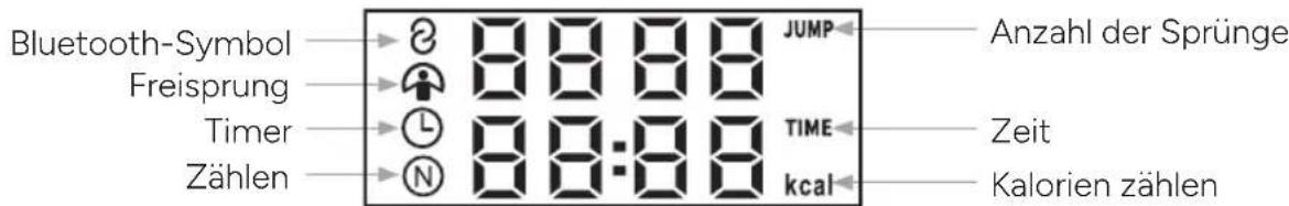 TERRAILLON Gymfit Connect - LCD-DISPLAY - 1