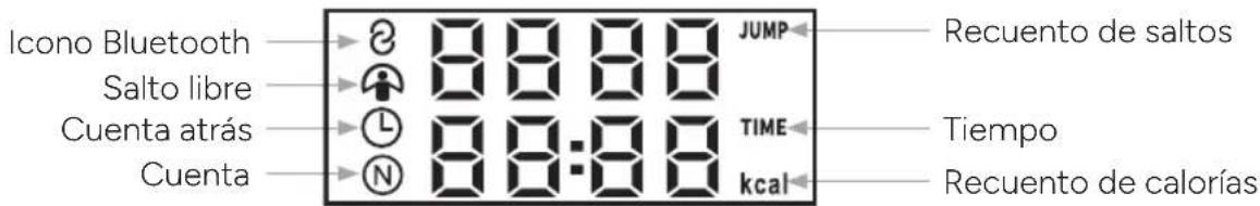 TERRAILLON Gymfit Connect - PANTALLA LCD - 1