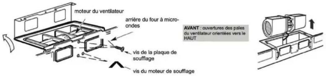moteur du ventilateur arrière du four à micro- ondes vis de la plaque de soufflage vis du moteur de soufflage AVANT : ouvertures des pales du ventilateur orientées vers le HAUT