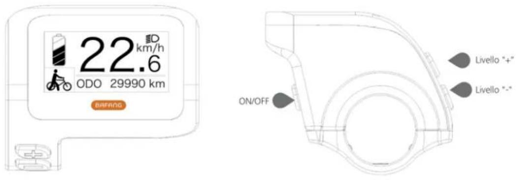 SHARP BK-CD04E - Display LCD - 1
