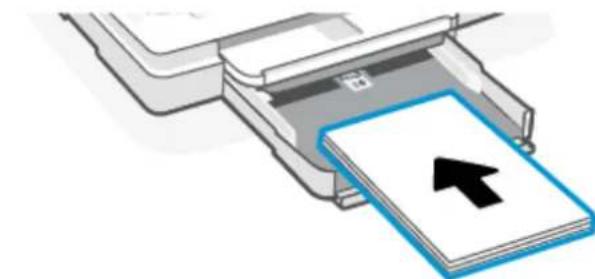 HP ENVY Photo 7934 - Pour charger du papier ordinaire - 11